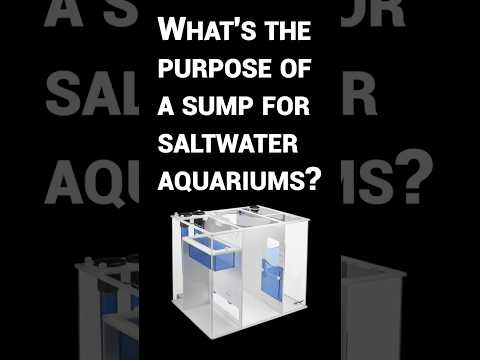 Top 3 Things a Filter Sump Can Do for Your Aquariu A sump on your saltwater aquarium or reef tank helps you so much more than increase your aquarium's 