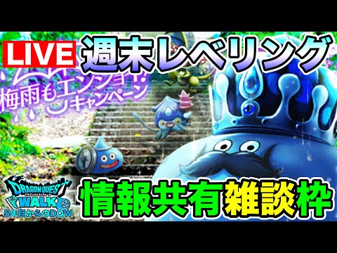 【ドラクエウォーク】キャンペーン内容共有しつつ、週末レベリング着手!!【DQW】