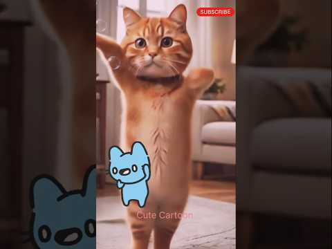 cat funny dance 😺🐾|Cat dance|#shorts #cat #usacats #catvideos #cutecartoon