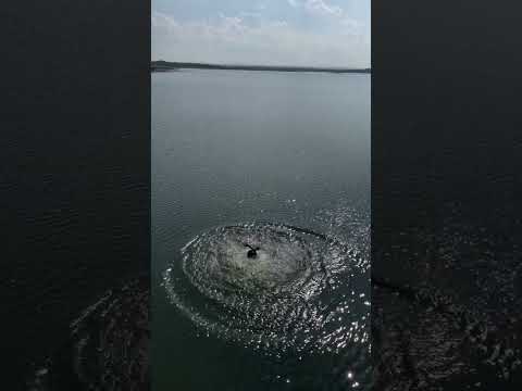 #hindisong #bollywood #song #love #bollywoodsongs #lovesong #nature #hiphopmusic