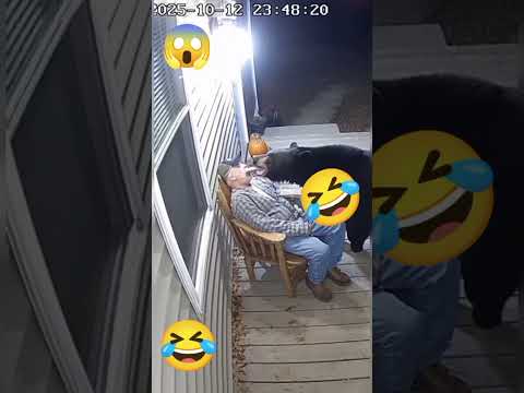 Bear Breaks Into Man’s Yard at Midnight — What Happens Next Will Shock You!