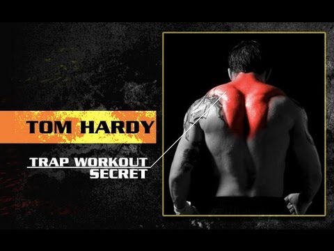 Tom Hardy Traps Workout Secret for BIGGER TRAPS NOW! - UCe0TLA0EsQbE-MjuHXevj2A