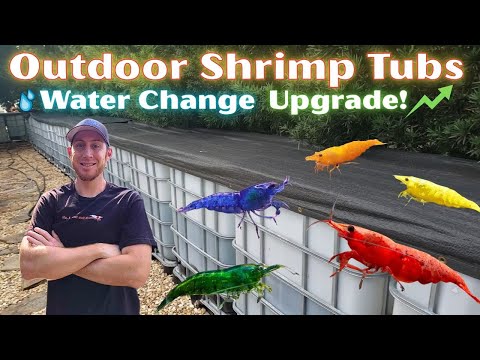 Outdoor Shrimp Tub Update We just revamped our outdoor shrimp tub setup with a brand-new PVC water change system using 3/4 inc