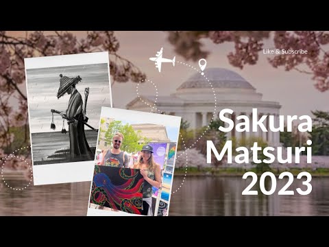 Sakura Matsuri Art set up Watch and see how we set up for Sakura Matsuri 2023.