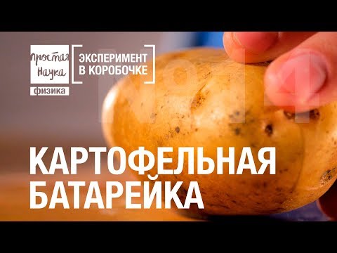 №14 - КАРТОФЕЛЬНАЯ БАТАРЕЙКА - UCzWnF-3UWAGNeK5fIkBmahg