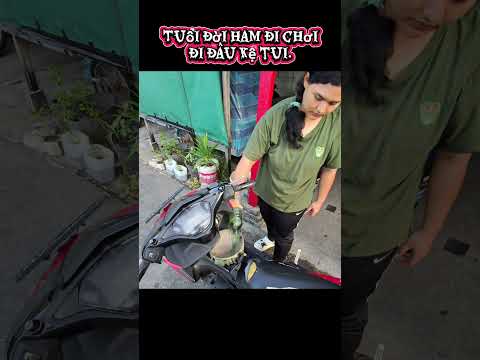 Đi chơi thôi mà! sao lại làm xáo trộn? tại nhà a khủng hoảng lý tưởng chứ không do tôi.