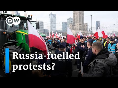 Polish farmers demand an end to Ukrainian food imports I DW News