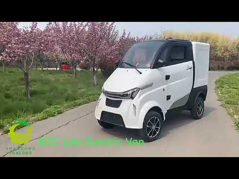 Yunlong EEC L6e Electric Cargo Vehicle Car