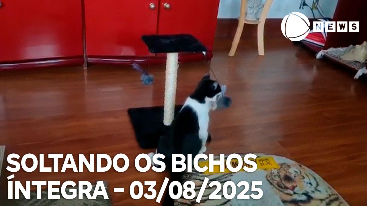 Soltando os Bichos   03082025
