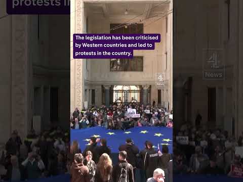 Fight breaks out in Georgia's parliament