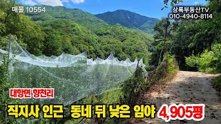 유튜브이미지