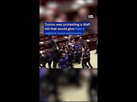 Italian MP’s get into a brawl over opposition member’s protest | DW News