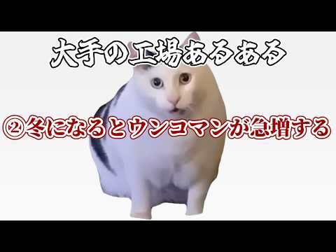 猫ミームで知る大手の工場あるある３選
