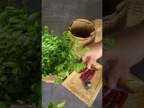 Curry Leaves Chutney #health