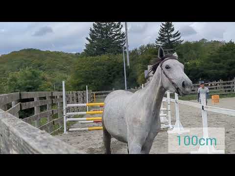 売約済*3才牝アイグレース 2025/09/20