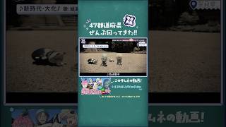 47都道府県ぜんぶ回ってきた！ #にじさんじ #すぷれあ