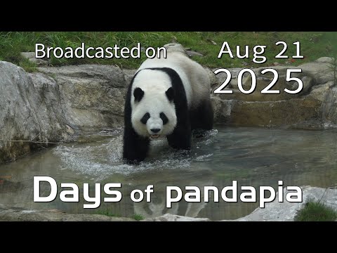 20250821 Broadcast Top Highlights 07