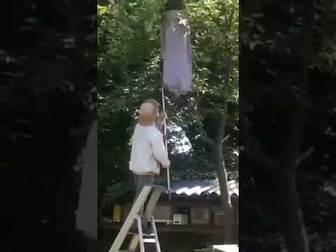 Amateur Beekeeper ... definitely amateur