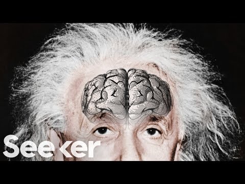 Einstein’s Brain Was Stolen and Chopped Up Into Tiny Pieces...For Science?! - UCzWQYUVCpZqtN93H8RR44Qw