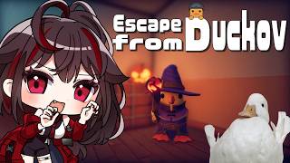 朝活CHILL 久々にアヒルさんの世界へ #escapefromduckov