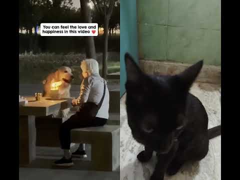 dog's birthday🥳🥳🥳🎂🥳🥳🥳