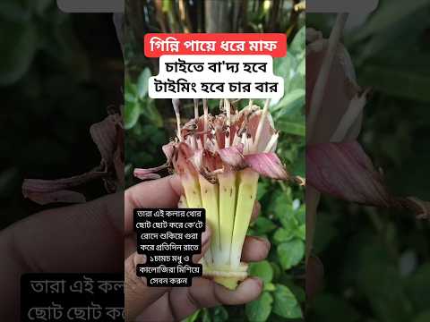 #shortvideo #shorts #motivation