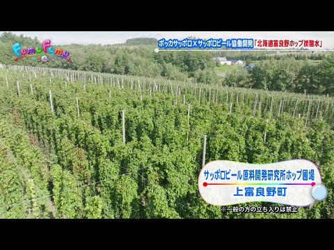ポッカサッポロ