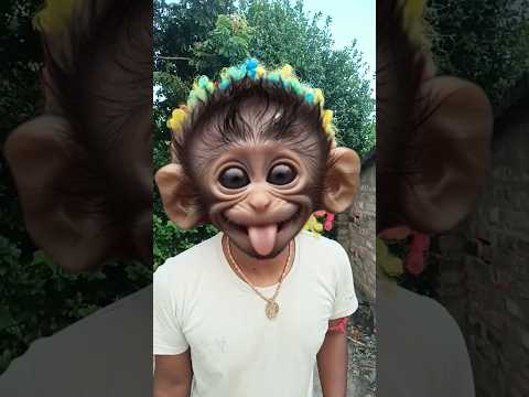 kucing pingin susu #fypシ #h82