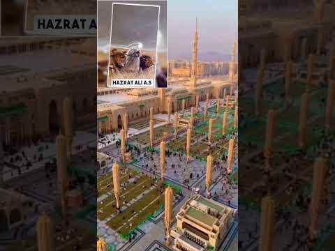 बीबी फातिमा #highlights #islamicstoriesinurduandhindi #हास्य