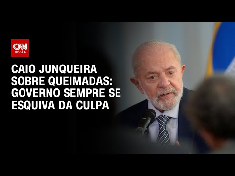 Caio Junqueira sobre queimadas: Governo sempre se esquiva da culpa | WW