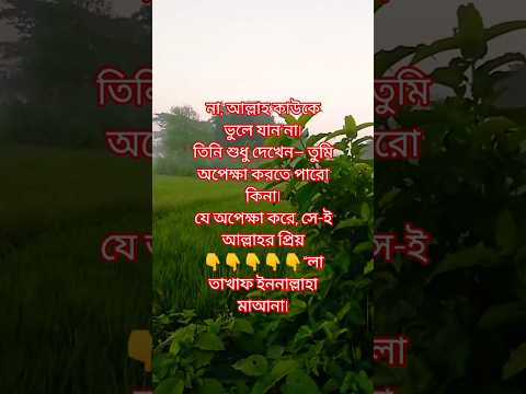 কখনো কি মনে হয়, আল্লাহ তোমাকে ভুলে গেছেন❓#আল্লাহ #ধৈর্য #ইমান #mizanur_rahman_azhari #shortvideo