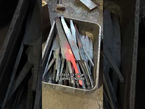 הקרניבורים מביאים בשורה מיפן