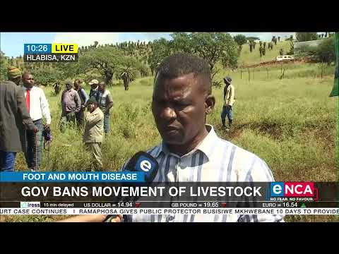 Foot and mouth disease | Government bans movement of livestock