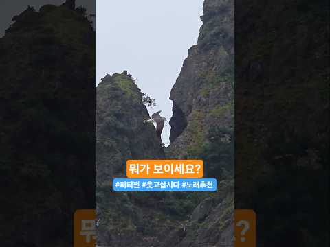 🌊 자연이 만든 작품! 울릉도 사람얼굴 보이시나요?  #피터펀 #웃고삽시다 #노래추천