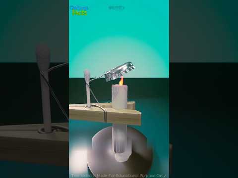 Candle Timer Trick Explained 🔥 #shortsbeta #shorts #babifreits #birdtrend