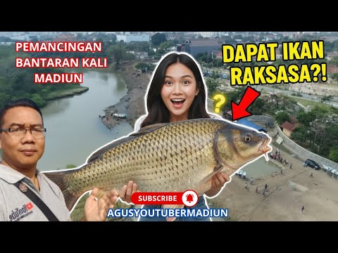 Mancing Seru di Bantaran Kali Madiun! DAPAT IKAN BESAR?!