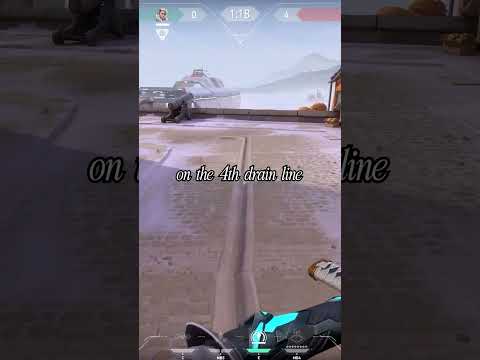 Corrode’s new line up