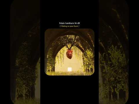 This Song Of "Veer Zaara" These Lines ✨ | Goonjta Hoon Jo Dil Mein 💓 | #shorts #love