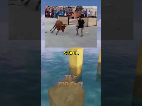 How To Avoid Getting Hit By a Bull | #facts #mindblown #viral