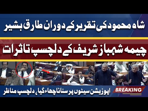 Shah Mehmood Fiery Speech | Tariq Bashir Cheema Shehbaz Sharif Ky Interesting Reaction