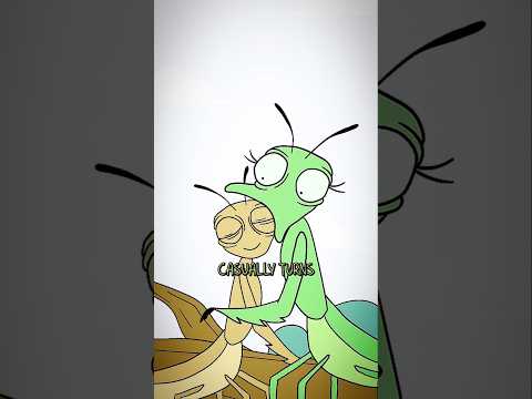 The Praying Mantis – A true psychopath 😈#PrayingMantis