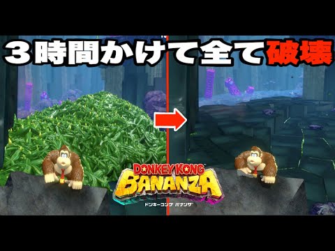 #2 ドンキーバナンザ全て破壊するまで先に進めません「ドイヒーくんのスイッチ２ゲーム実況・ドンキーコング」