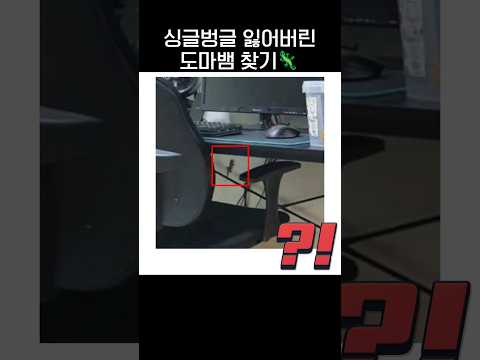 방에서 잃어버린 도마뱀 찾기ㅋㅋㅋ🦎.jpg
