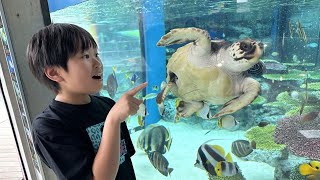 動画サムネイル