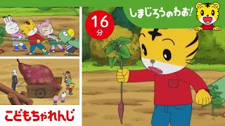 動画サムネイル