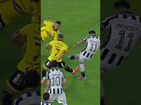 image para ilustrar o artigo