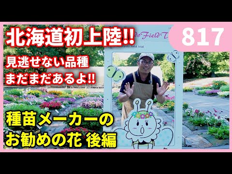 後編 北海道フラワートライアルに行ってきたよ!! by 園芸チャンネル 817 #園芸 #ガーデニング #初心者
