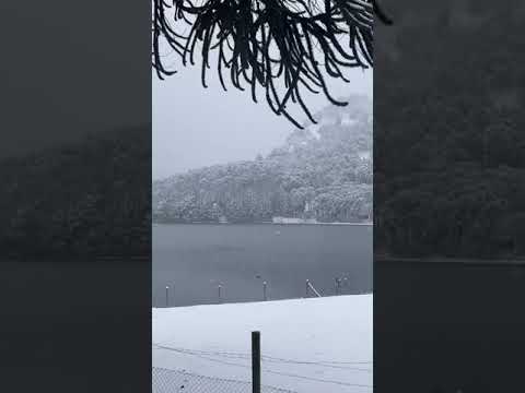 28 de agosto de 2021