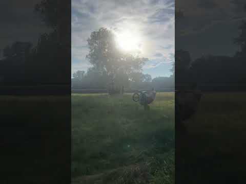 SKETCHY KLX110 WHEELIE!! #foryou #dirtbike #goon #bikelife #motocross #subscribe #shortsfeed