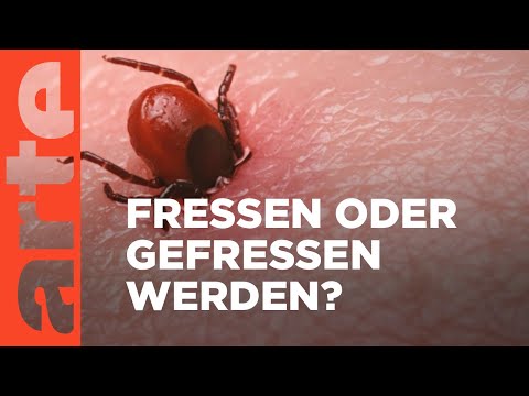 Die Angst - Krieg der Welten | Doku HD | ARTE